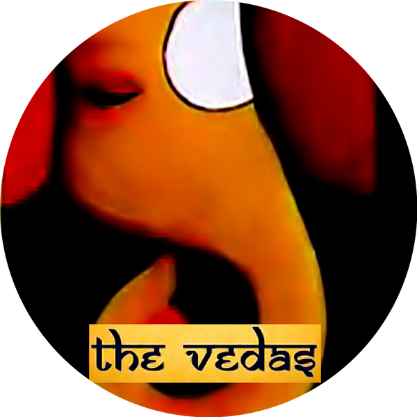 The Veda logo