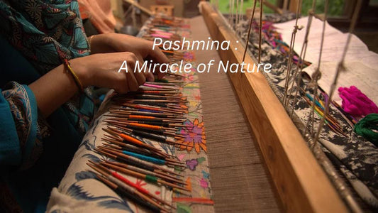 Pashmina: A Miracle of Nature