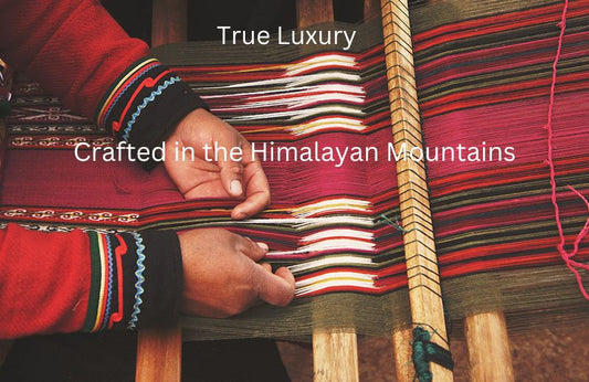 Perceiving The Ancient  Silk Empire and The Cradle Of Cashmere Wool