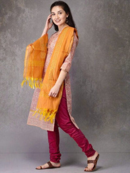 Ethnic Pure Cotton Silk Blend Kurta with Churidar Dupatta Set/ Tunic/ India/ Block Print/